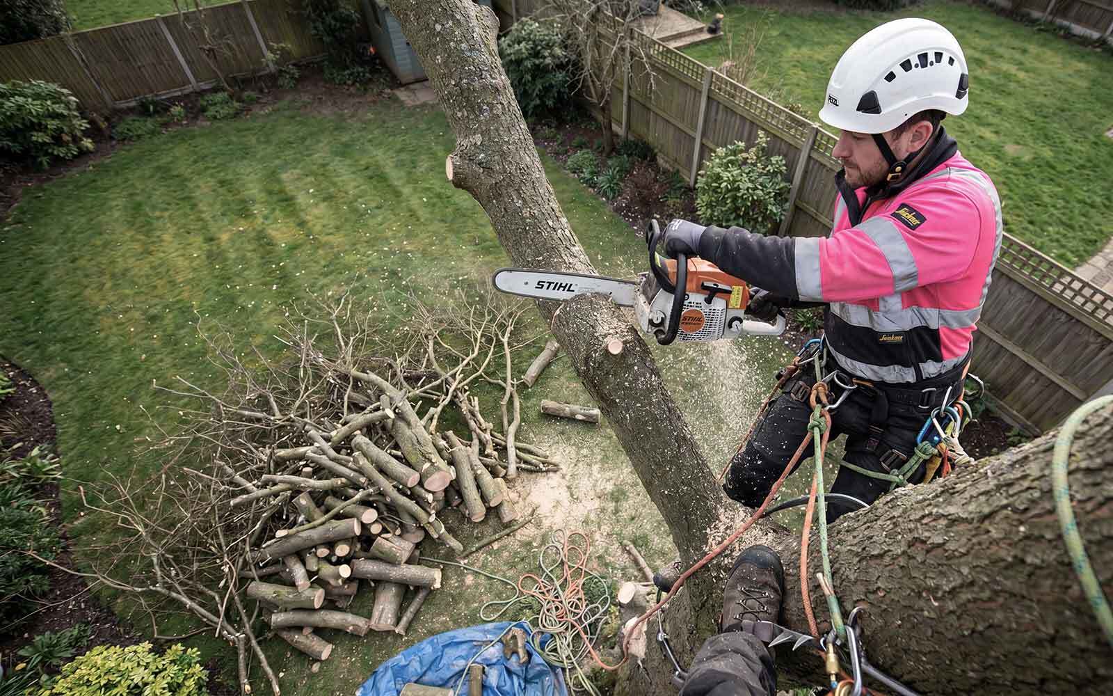 First Choice Tree Surgery Work